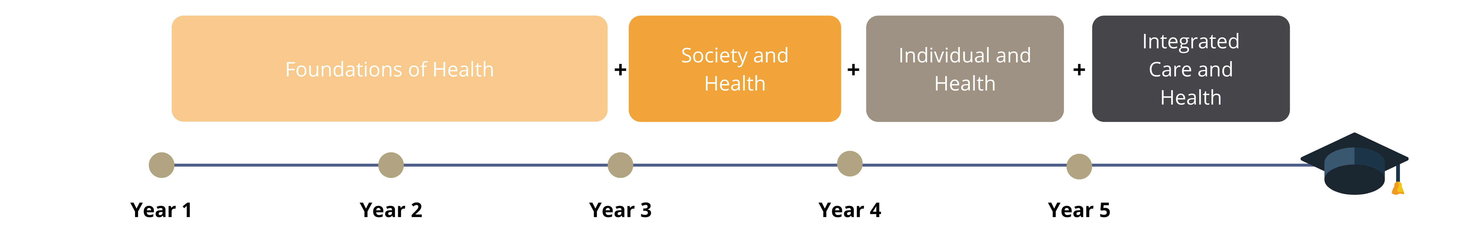 Programme Structure of Bachelor of Nursing (BNurs) in English