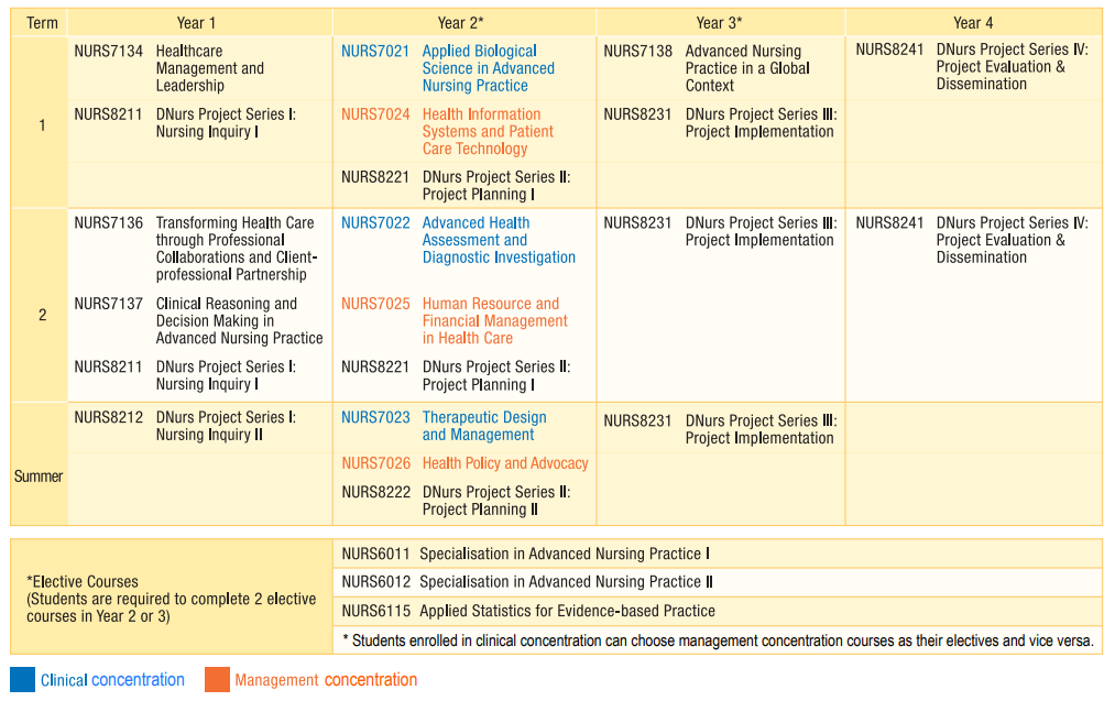 DN Curriculum Design 2