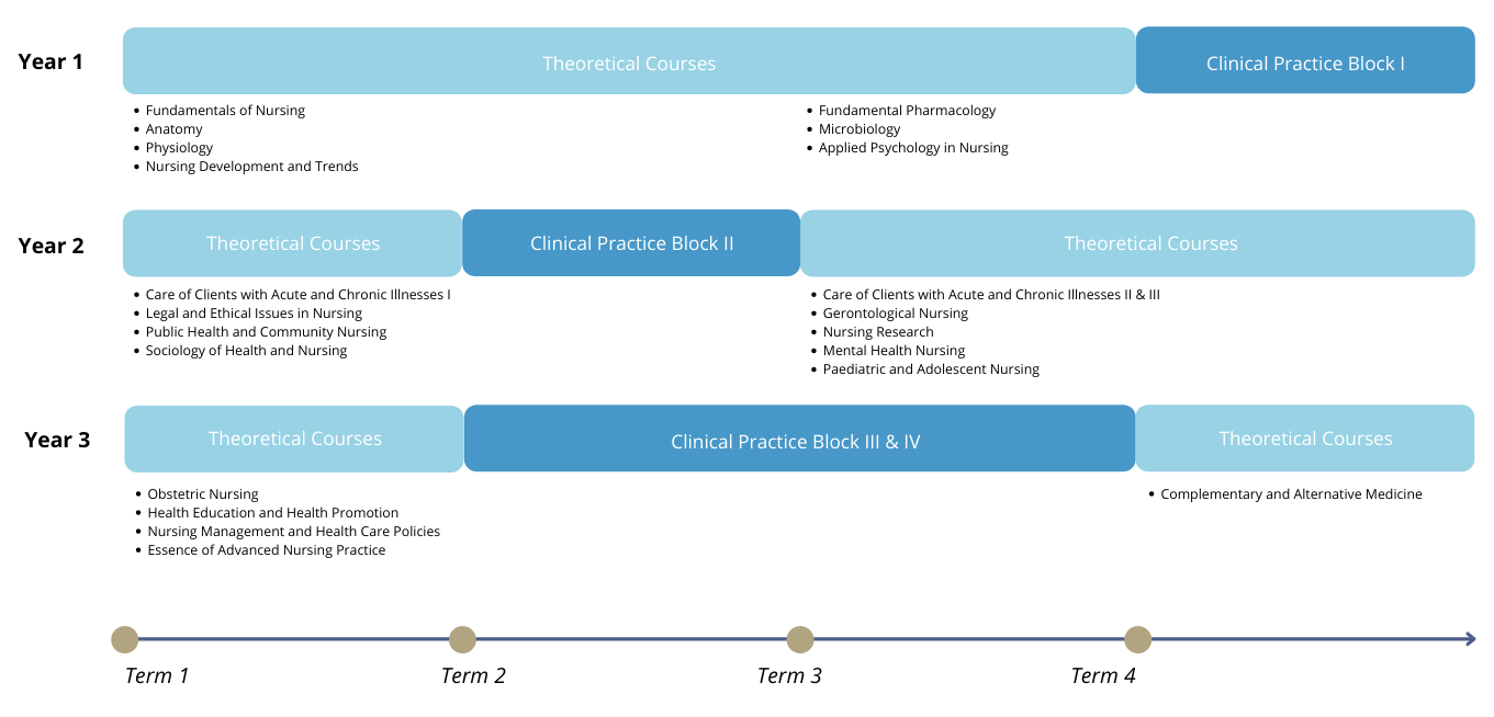 Programme Structure of Master of Nursing Science (Pre-registration) (MNSP) in English